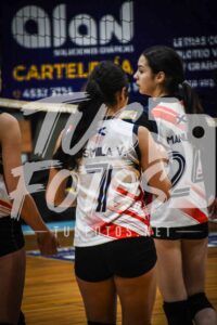 Voley 31