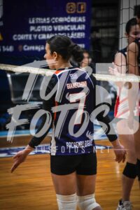 Voley 43