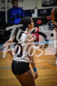 Voley 44
