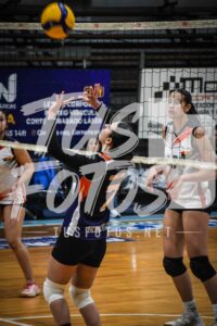 Voley 59