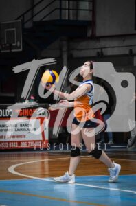 Voley 83