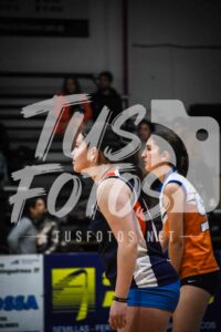 Voley 87
