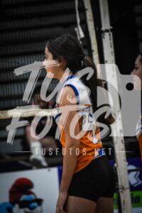 Voley 91