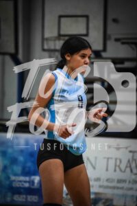 Voley 94