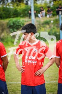 Cai Olimpico 6
