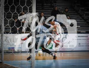Hacha Escalera FutS 67