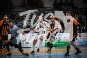 Hacha Escalera FutS 81