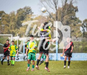Once Ferro S18 12