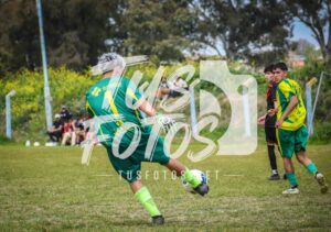 Once Ferro S18 33